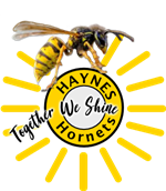 Together We Shine signature theme without year with realistic hornet on top of seal.